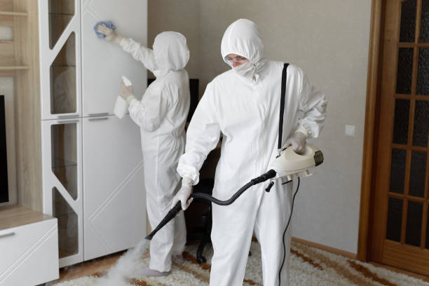 Best Mold Removal Process  in Port Lavaca, TX